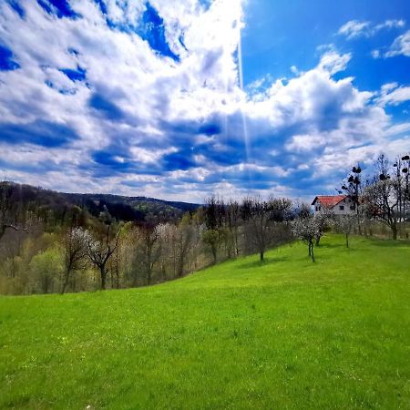 Agropensiunea Floare De Tei Carpinis  Bagian luar foto