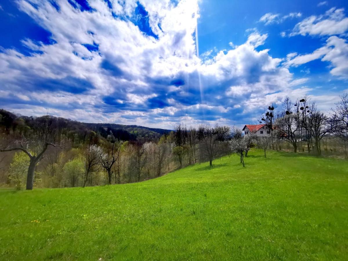 Agropensiunea Floare De Tei Carpinis  Bagian luar foto