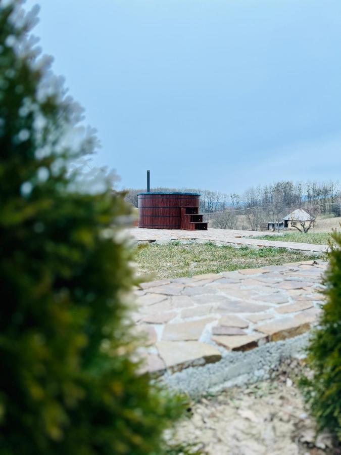 Agropensiunea Floare De Tei Carpinis  Bagian luar foto